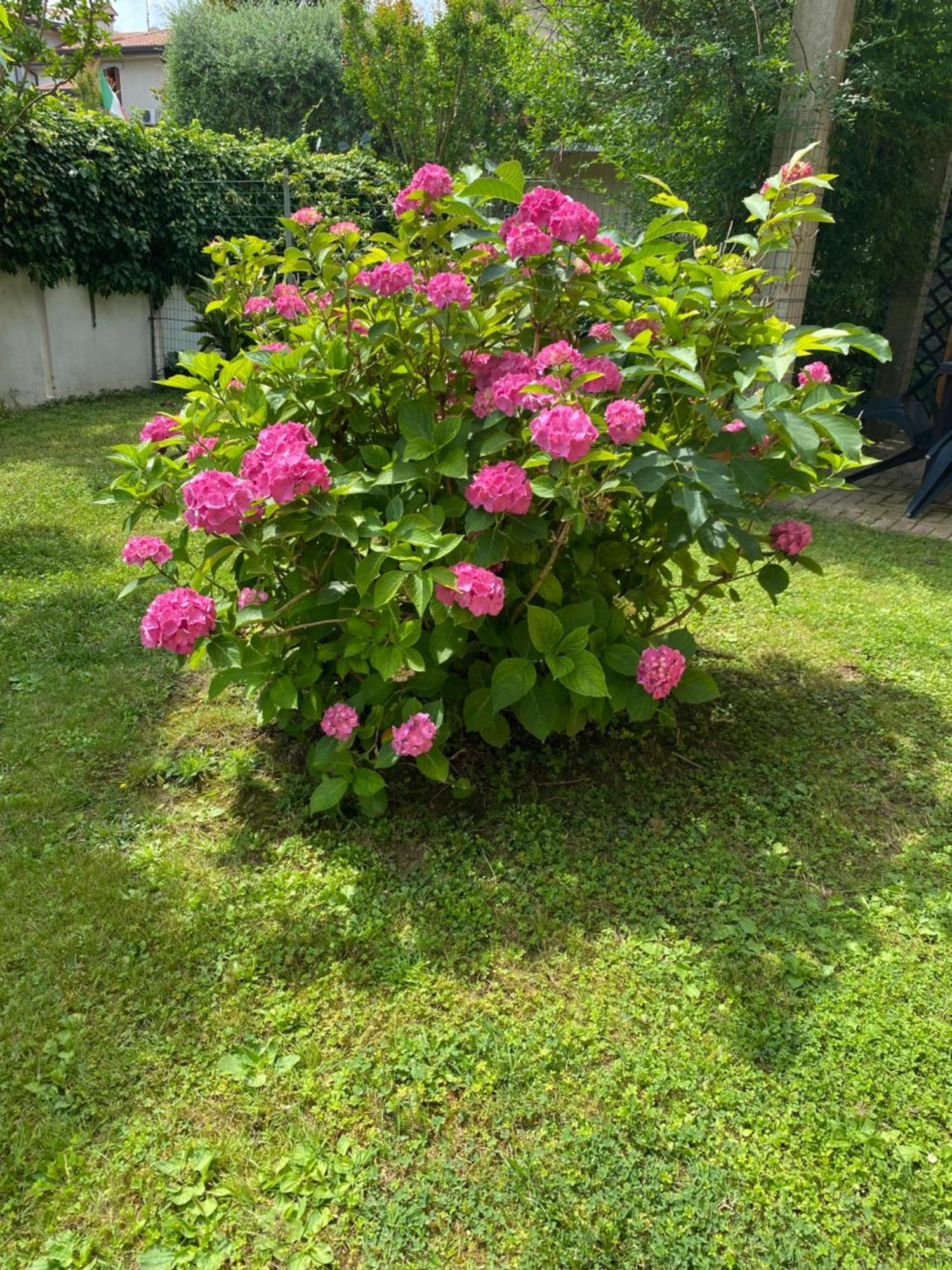 A Casa Di Vanna 산도나디피아베 외부 사진